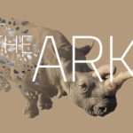 The Ark