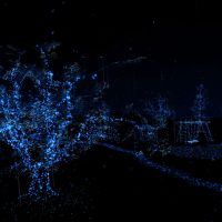 notes-on-blindess-03